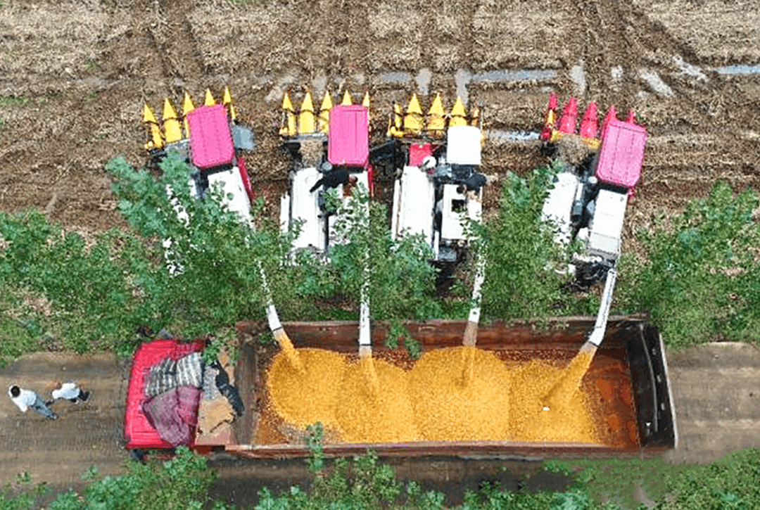 山东临沂：全力打好“三秋”生产攻坚战